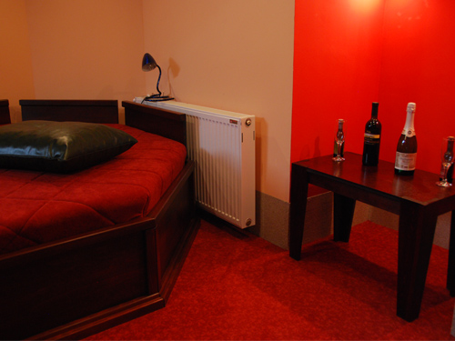 Vila Mitic Hotel